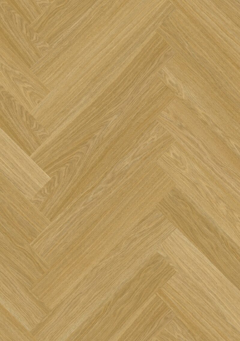 cq5dam-web