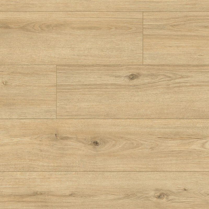 legacy-wr-65362-dub-asti.jpg