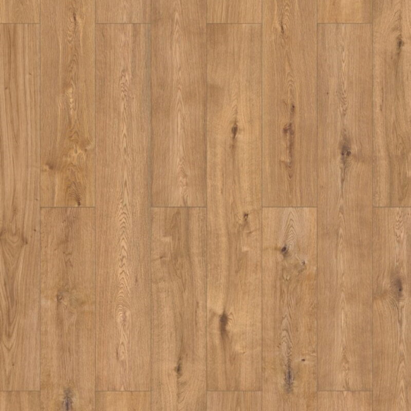 livorno_oak.jpg