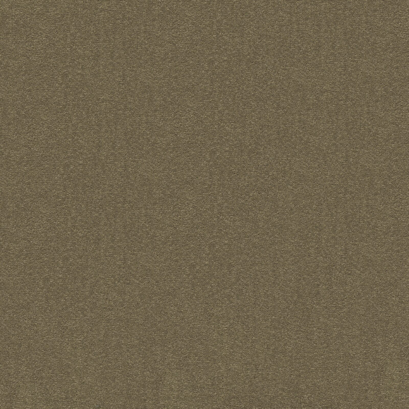 1463e272-511b-11ec-abd2-0cc47a90572f_fc9058b4-11cd-11ef-ac0c-0cc47a90572f.jpeg
