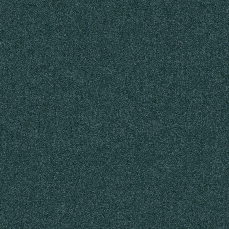 84209c1f-1124-11ef-ac0c-0cc47a90572f_037e6df1-11ce-11ef-ac0c-0cc47a90572f.jpeg