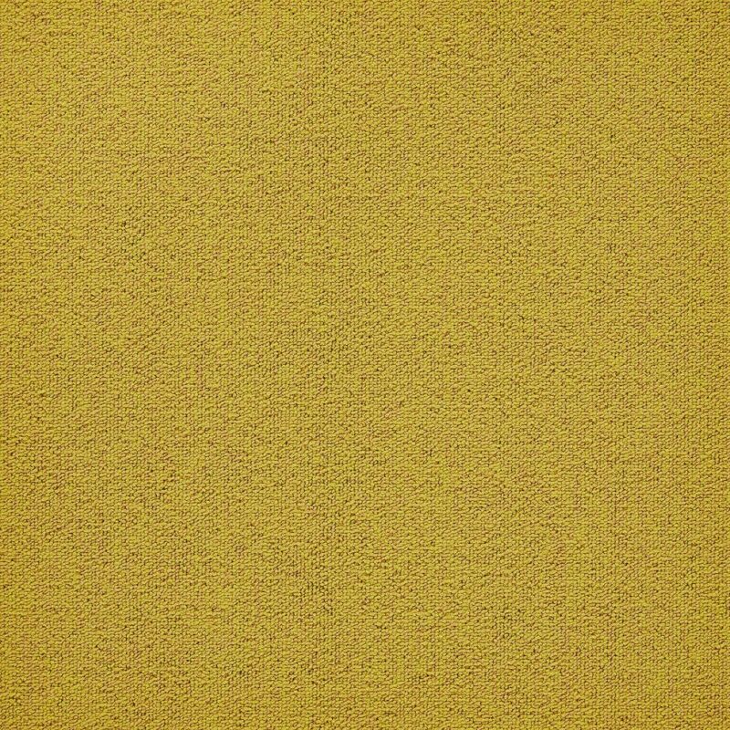 8e696324-5122-11ec-abd2-0cc47a90572f_16ffffb0-1131-11ef-ac0c-0cc47a90572f.jpeg