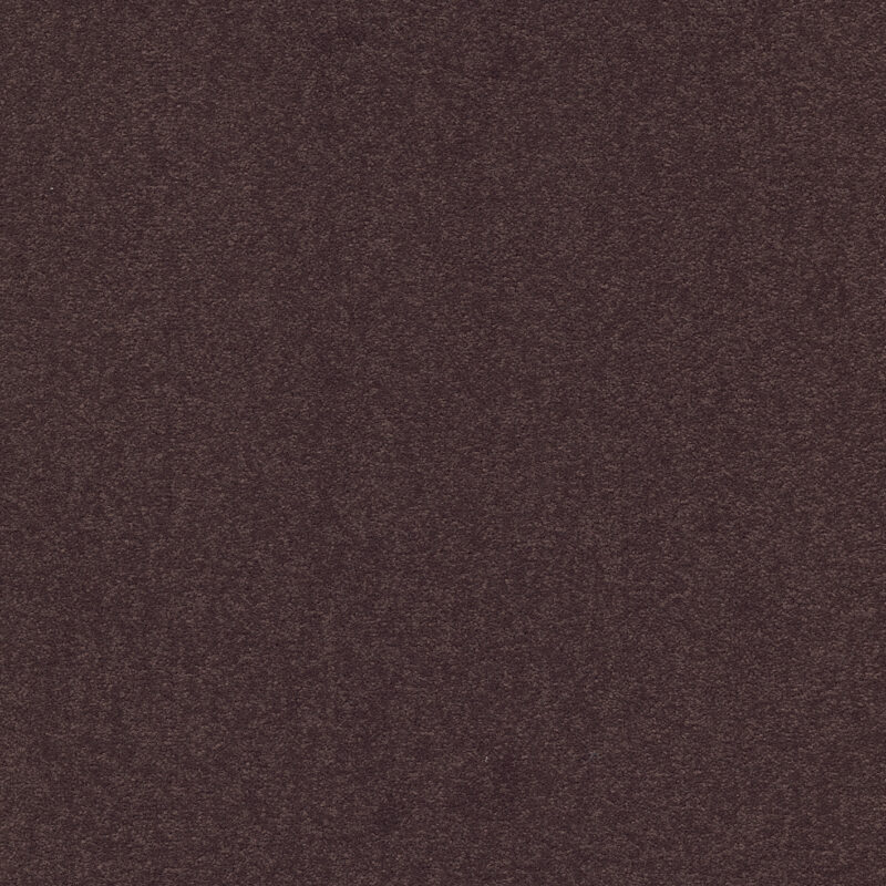aa01bab4-eb38-11e9-ab9e-0cc47a90572f_3488b808-11cb-11ef-ac0c-0cc47a90572f.jpeg