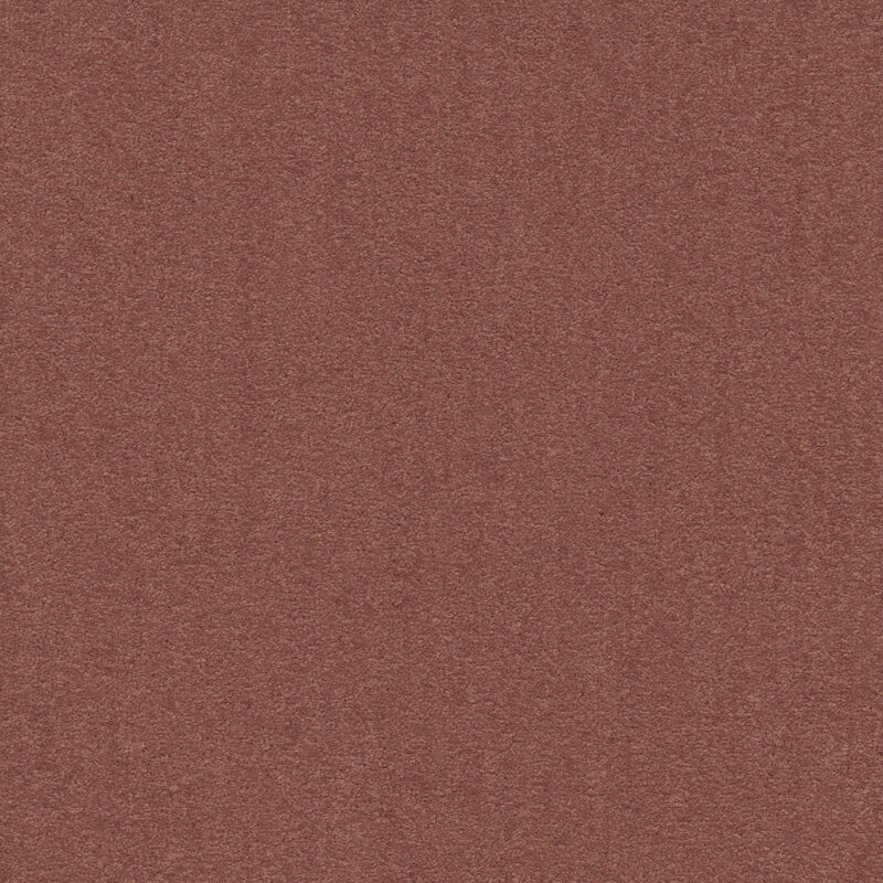 ac7fa586-1123-11ef-ac0c-0cc47a90572f_857bf0c1-11ca-11ef-ac0c-0cc47a90572f.jpeg