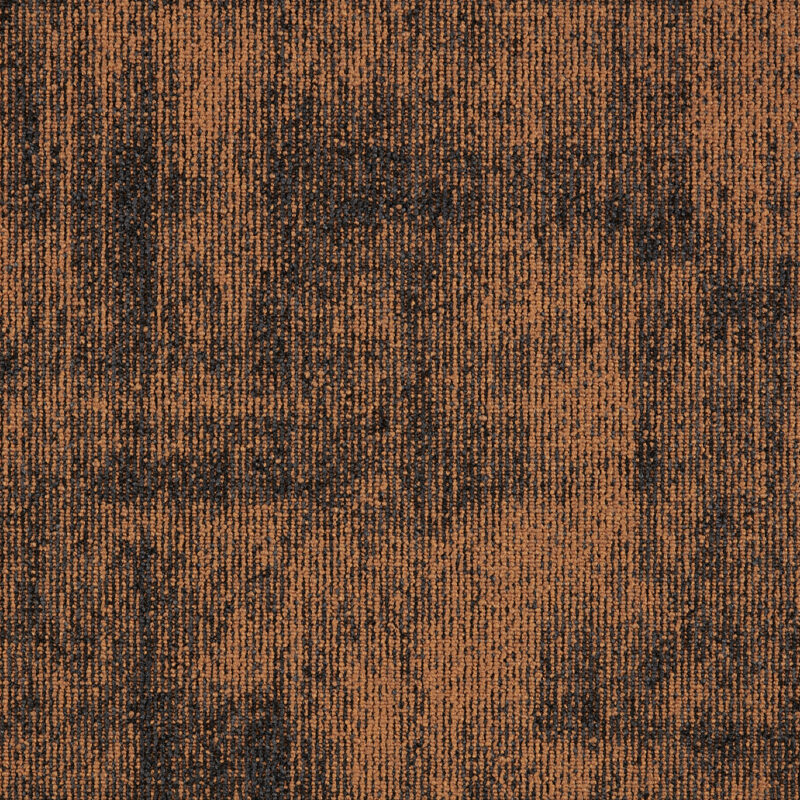 ae4183d7-1105-11ef-ac0c-0cc47a90572f_11d8cf01-1135-11ef-ac0c-0cc47a90572f.jpeg