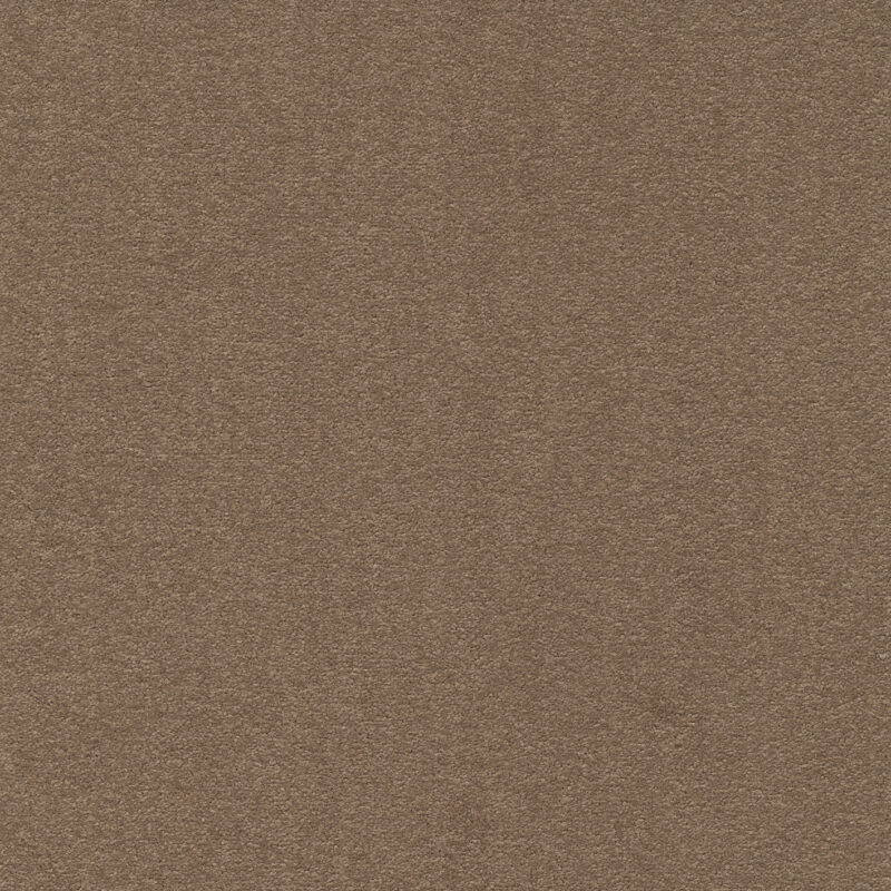 b6f0f8ee-511a-11ec-abd2-0cc47a90572f_6be1acce-11ca-11ef-ac0c-0cc47a90572f.jpeg
