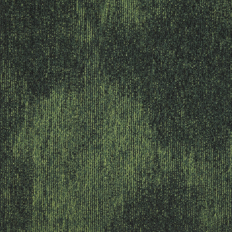 b8742b23-4501-11eb-abb5-0cc47a90572f_62b25193-11c5-11ef-ac0c-0cc47a90572f.jpeg