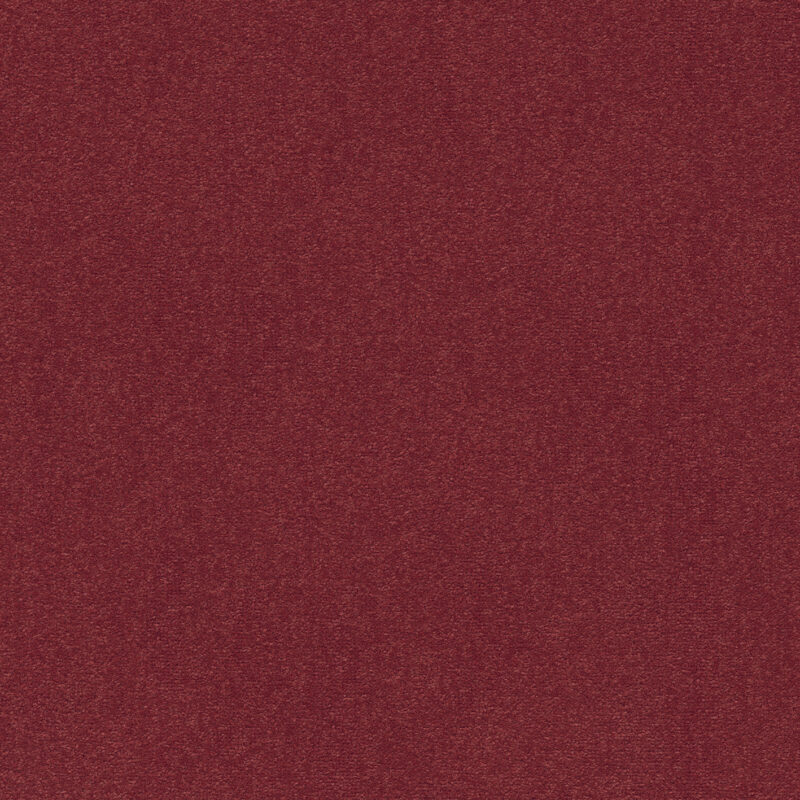 b9caf0bf-1123-11ef-ac0c-0cc47a90572f_8dbd335e-11ca-11ef-ac0c-0cc47a90572f.jpeg