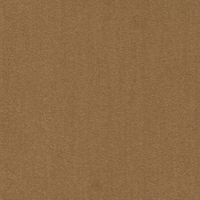 e326bf72-511a-11ec-abd2-0cc47a90572f_7e0035c1-11ca-11ef-ac0c-0cc47a90572f.jpeg