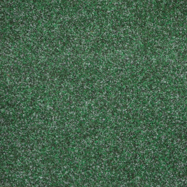 PRIMAVERA  6651