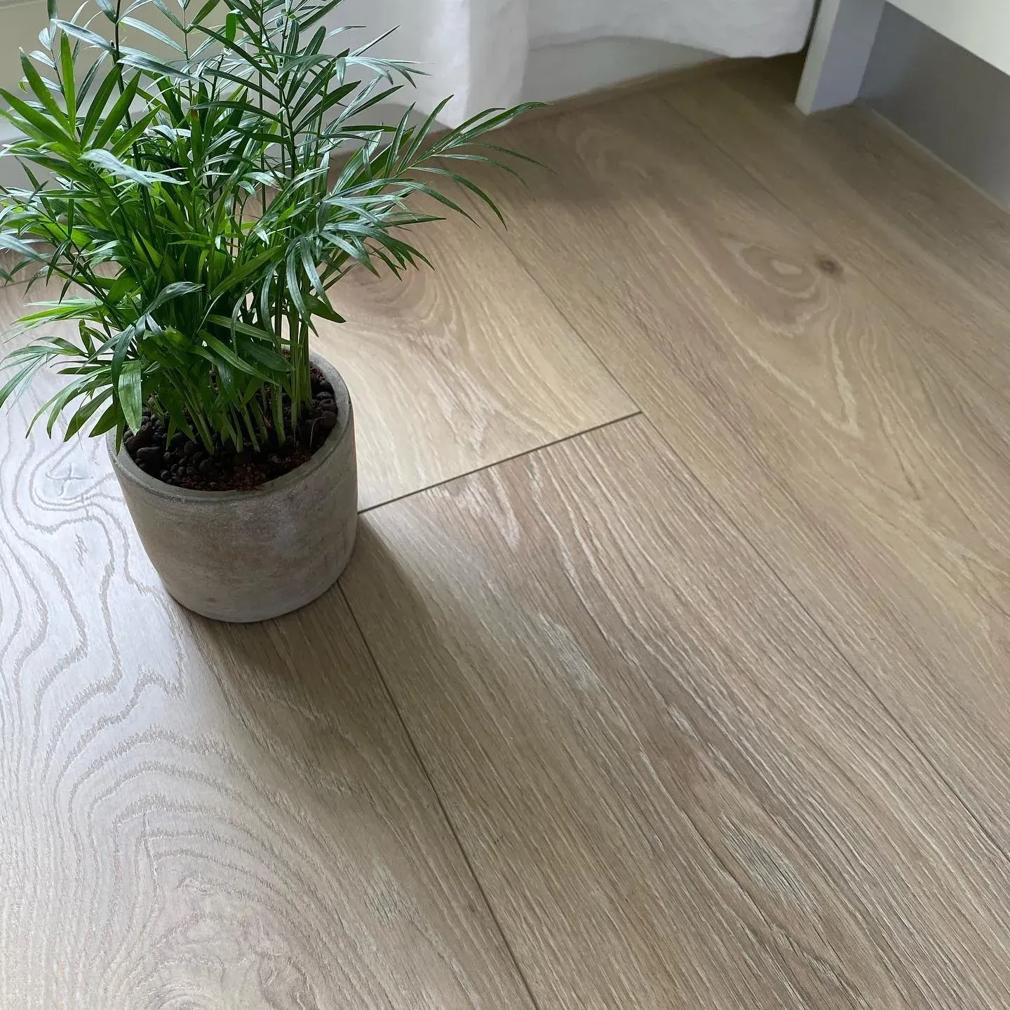 Ламінат Alsafloor Homflor Distingo XL V4 WR 5G Дуб Натуральний 10 мм